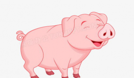 猪 动漫,动漫中的猪精灵传奇